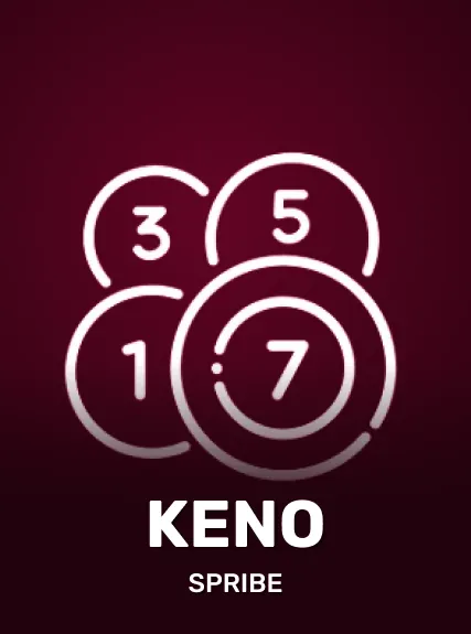 Bingo Destiny